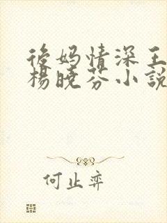 后妈情深王磊与杨晓芬小说佚名