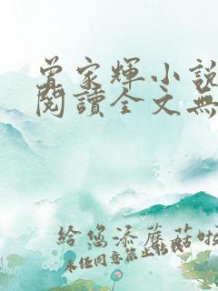 曾家辉小说免费阅读全文无弹窗