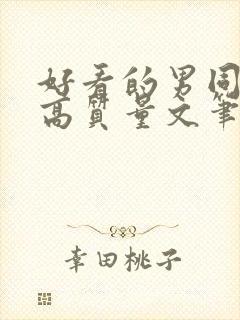 好看的男同小说高质量文笔好