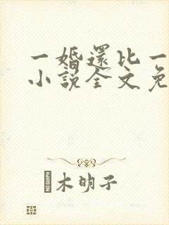 一婚还比一婚高小说全文免费