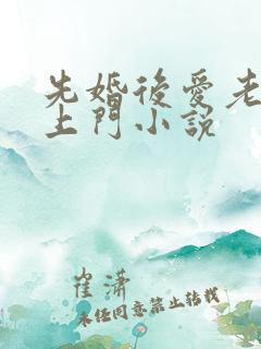 先婚后爱老公追上门小说