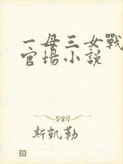 一母三女战一婿官场小说