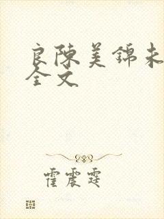 良陈美锦未删减全文