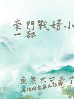 豪门战婿小说第一部