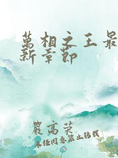 万相之王最快更新章节
