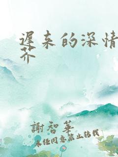 迟来的深情如草芥