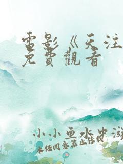 电影《天注定》免费观看