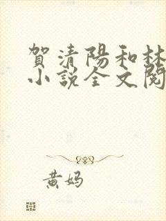贺清阳和林沐涵小说全文阅读