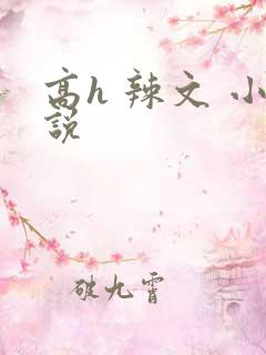 高h 辣文 小说