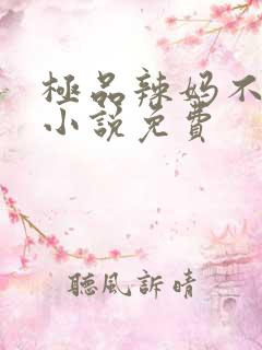 极品辣妈不好惹小说免费