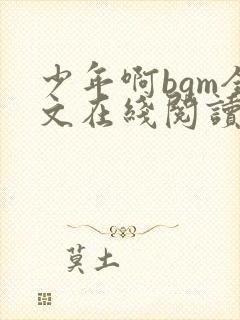 少年啊bgm全文在线阅读免费阅读