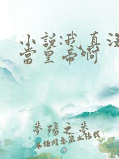 小说:我真没想当皇帝啊