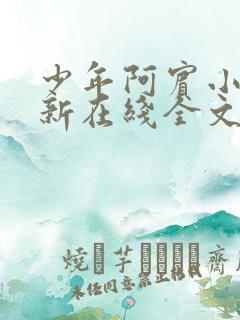 少年阿宾小说最新在线全文阅读