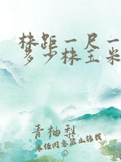 株距一尺一亩地多少株玉米