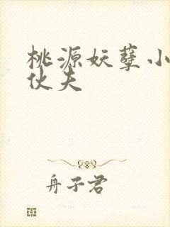 桃源妖孽小神医伙夫