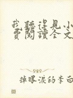 我听得见小说免费阅读全文
