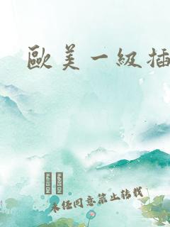 欧美一级插插插