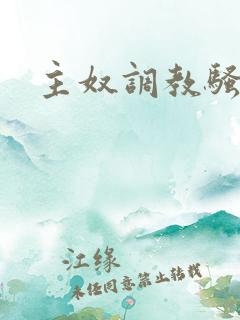 主奴调教骚货