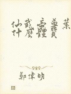 仙武帝尊叶辰是什么体质