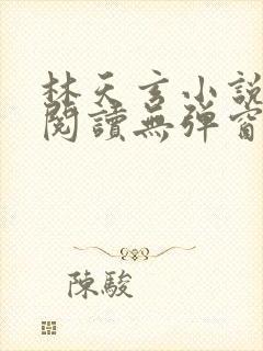 林天玄小说免费阅读无弹窗