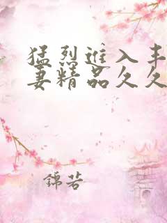 猛烈进入丰满人妻精品久久久