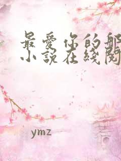 最爱你的那十年小说在线阅读