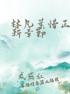 林凡叶惜正版最新章节