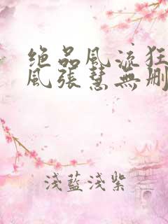 绝品风流狂医林风张慧无删节