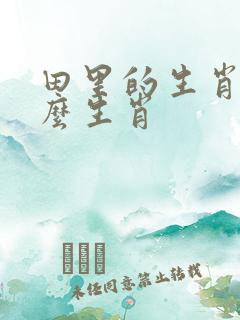 田里的生肖指什么生肖