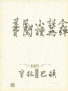 叶风小说全文免费阅读无弹窗最新章节
