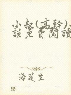 小叔(高干)小说免费阅读