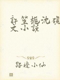 许笙栀沈砚洲全文小说