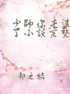 少帅你老婆又跑了小说完整版