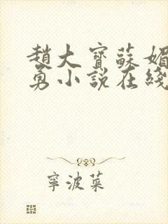 赵大宝苏媚赵大勇小说在线阅读