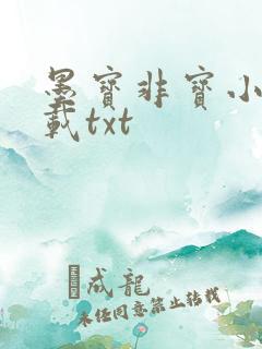 墨宝非宝小说下载txt