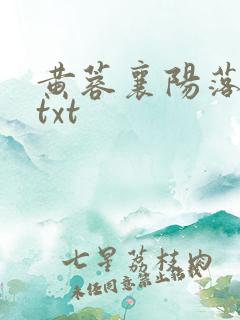 黄蓉襄阳落难传txt