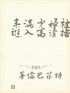 丰满少妇被猛烈进入高清播放,