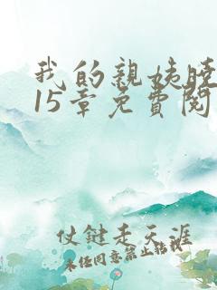 我的亲姨晓峰第15章免费阅读