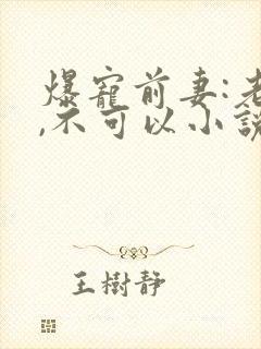 爆宠前妻:老公,不可以小说免费阅读