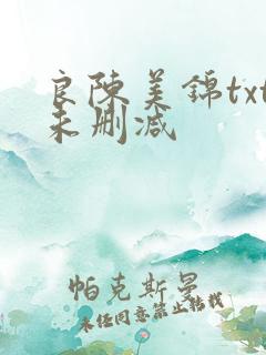 良陈美锦txt未删减