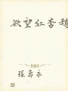 欲望红杏赵总