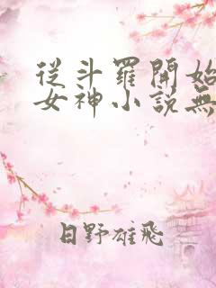 从斗罗开始俘获女神小说无删减版
