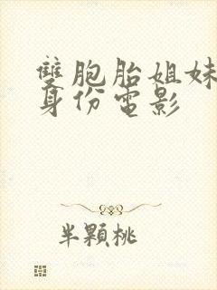 双胞胎姐妹互换身份电影