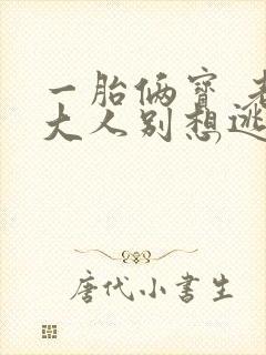 一胎俩宝 老婆大人别想逃全文免费阅读