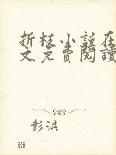 折枝小说在线全文免费阅读无弹窗