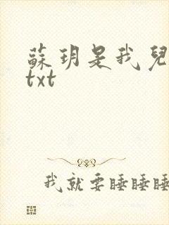 苏玥是我儿媳妇txt