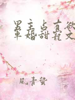 男主占有欲强的军婚甜宠文