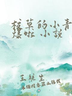 校草的小青梅甜爆啦 小说