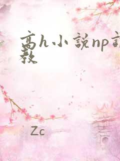高h小说np调教