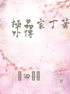 极品家丁萧夫人外传